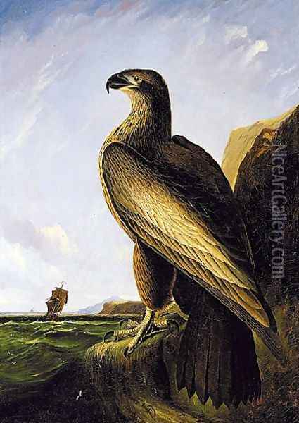 Washington Sea Eagle Oil Painting - John James Audubon