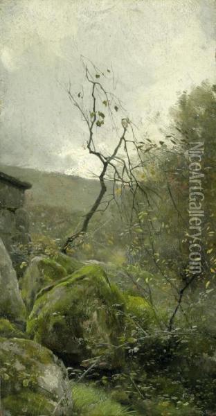 Landschaft Mit Bemoosten Felsbrocken Oil Painting - Peder Mork Monsted