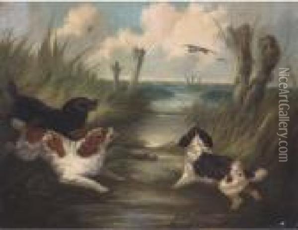 Spaniels Putting Mallards Up Oil Painting - George Armfield