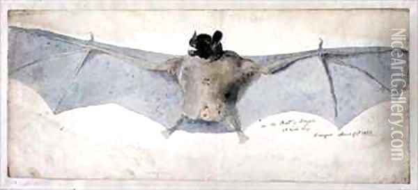 The Bat of Brazils Oil Painting - Augustus Earle