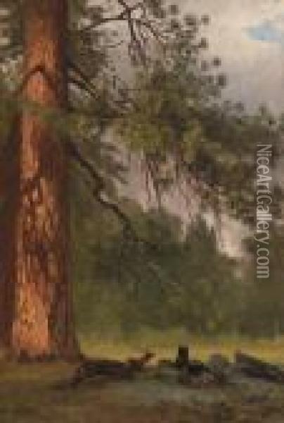 Yosemite Camp Kitchen Oil Painting - Albert Bierstadt