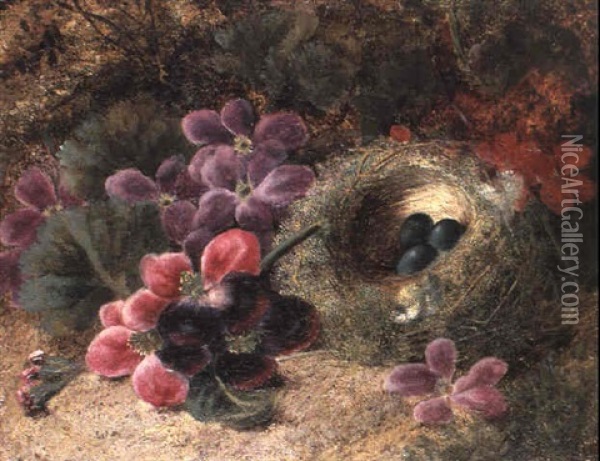 A Bird's Nest And Geraniums Oil Painting - Oliver Clare