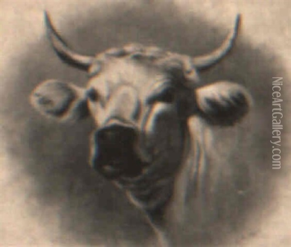 Head Of A Bull Oil Painting - James McDougal Hart