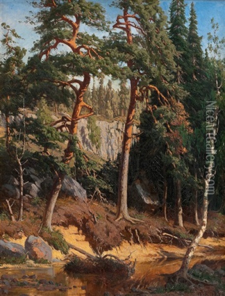 In The Forest Oil Painting - Fanny Maria Churberg