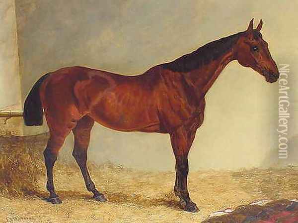 Gypsy, Bay Horse in a Stable Oil Painting - John Frederick Herring Snr