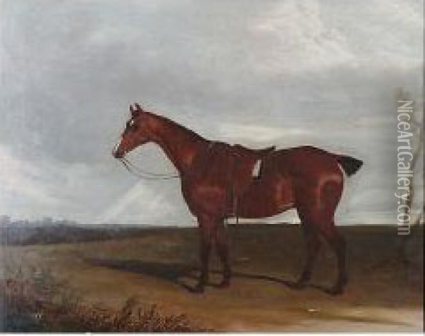 Chestnut Hunter Before A Landscape Oil Painting - Thomas W. Bretland