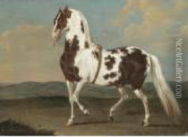 Portrait Of A Dressage Stallion In A Landscape Oil Painting - Johann Georg Hamilton