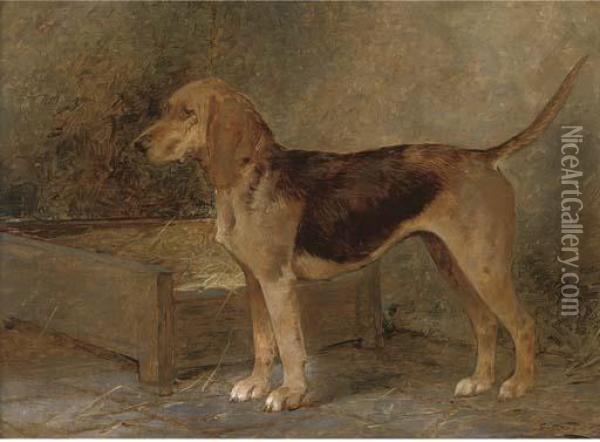 A Prize Foxhound Oil Painting - George Wright