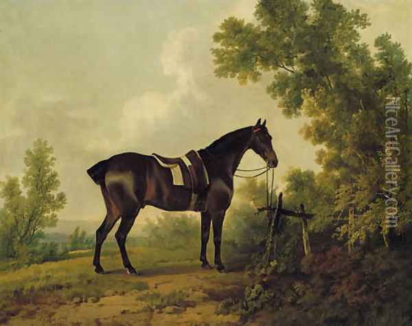 A saddled bay hunter in a wooded landscape Oil Painting - Sawrey Gilpin