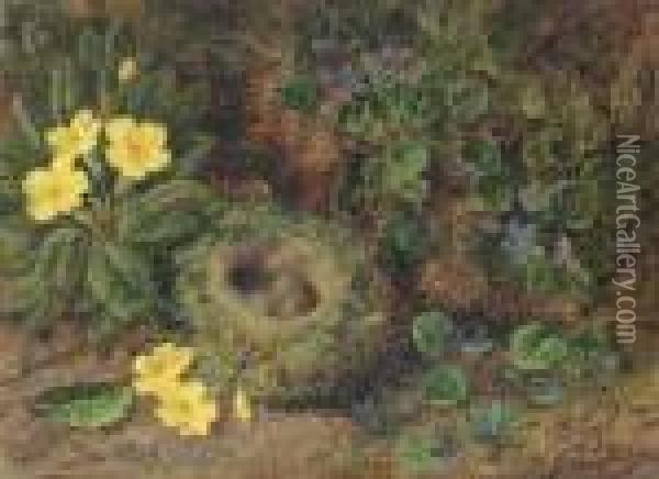 Primroses, Violets And A Bird's Nest With Eggs Oil Painting - George Clare