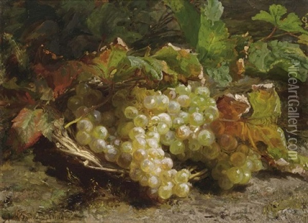 A Still Life With Grapes In A Basket Oil Painting - Gerardina Jacoba van de Sande Bakhuyzen