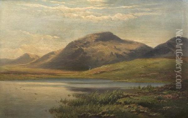 Lake Scene Connemara Oil Painting - Patrick Vincent Duffy