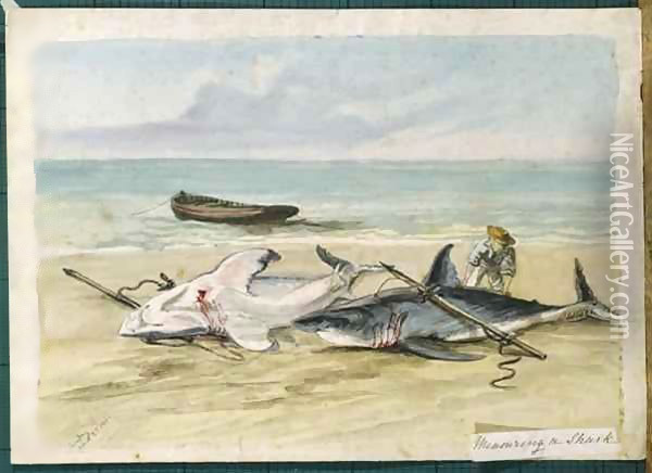 Man measuring two dead sharks on a beach, Walvis Bay, Namibia Oil Painting - Thomas Baines