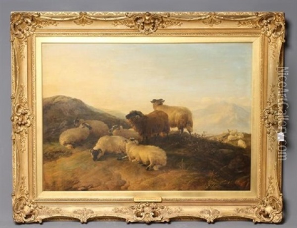 On The Hills Summertime, Sheep Reposing Oil Painting - Thomas Sidney Cooper