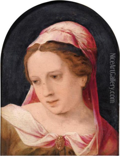 Jeune Femme Portant Un Voile Rose Oil Painting - Jan Sanders Van Hemessen