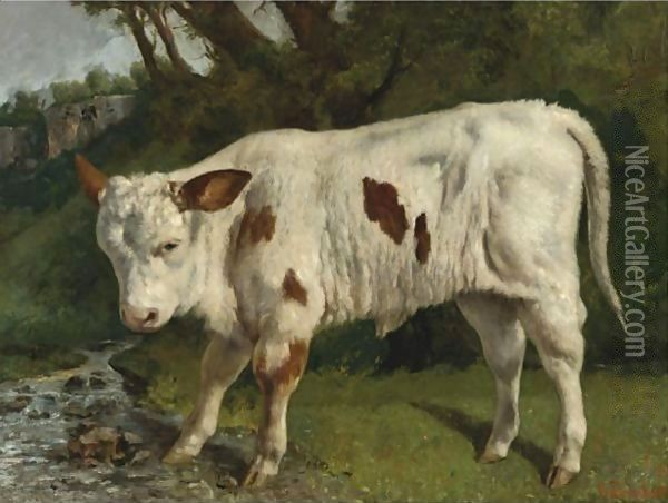 Le Veau Blanc Oil Painting - Gustave Courbet