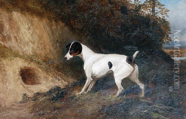 The Patient Terrier Oil Painting - Colin Graeme Roe