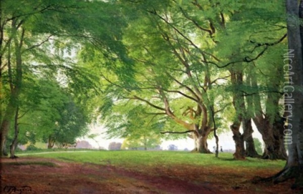 Beech Trees In Summertime Oil Painting - Carl Frederik Peder Aagaard