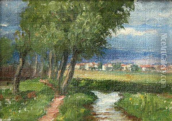 A Streamlet Oil Painting - Alexander Popivanov