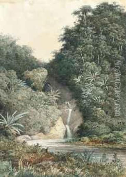 A Waterfall, Trinidad Oil Painting - Michel Jean Cazabon