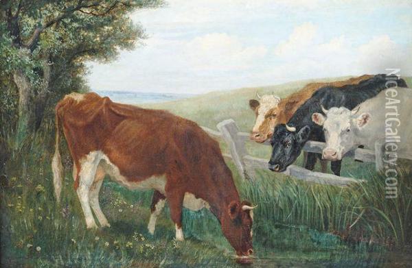 Vier Kuhe Am Weidezaun Oil Painting - Friedrich Eckenfelder