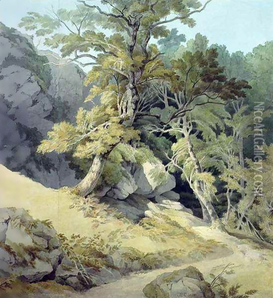 Canonteign, Devon 2 Oil Painting - John White Abbott