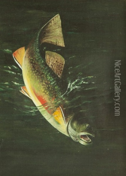 Trout Oil Painting - Harry Driscole