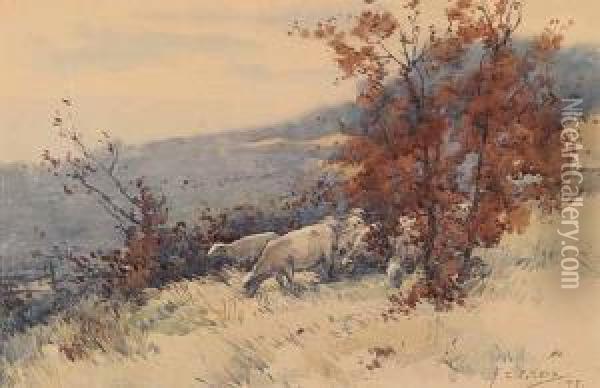 Untitled - Sheep Grazing On A Hillside Oil Painting - Frederick Charles Vipond Ede