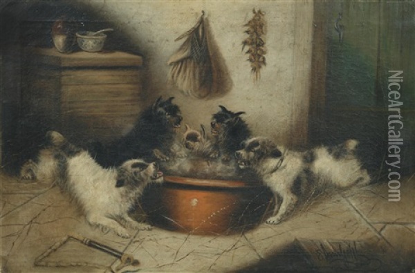 Terriers At Feeding Time Oil Painting - Edward Armfield