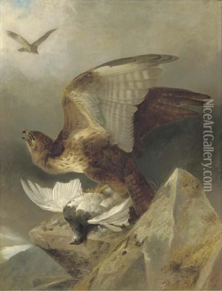 A Buzzard With A Ptarmigan In A Highland Landscape Oil Painting - Richard Ansdell