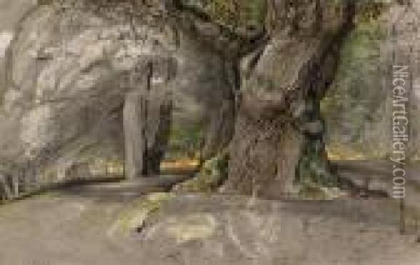 Oak Tree And Beech, Lullingstone Park Oil Painting - Samuel Palmer