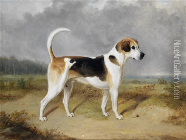 Portrait Of A Foxhound With A Hunt In The Background Oil Painting - William Webb