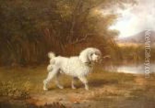 A Poodle In A Landscape. Oil Painting - Edmund Bristow