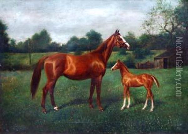 Belle Of Mayfair And Filly Foal By The Tinman Oil Painting - Herbert Jones