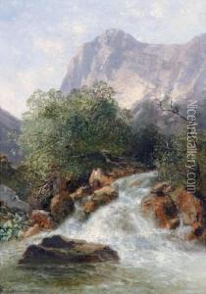 Mountain Torrent Oil Painting - Emilie Mediz-Pelikan