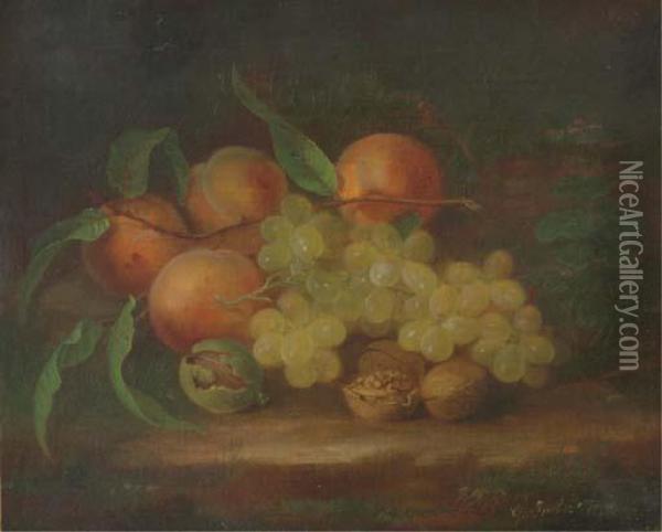 Still Life With Peaches, Grapes And Walnut Oil Painting - George Forster