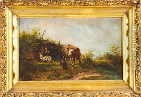 Cows And Goats Oil Painting - Anton Braith