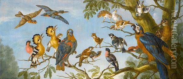 A Concert Of Birds Oil Painting - Pieter III Casteels