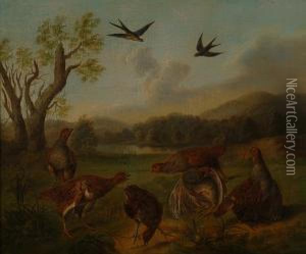 A Flock Of Partridge With A Lake And Swallows Oil Painting - Stephen Elmer