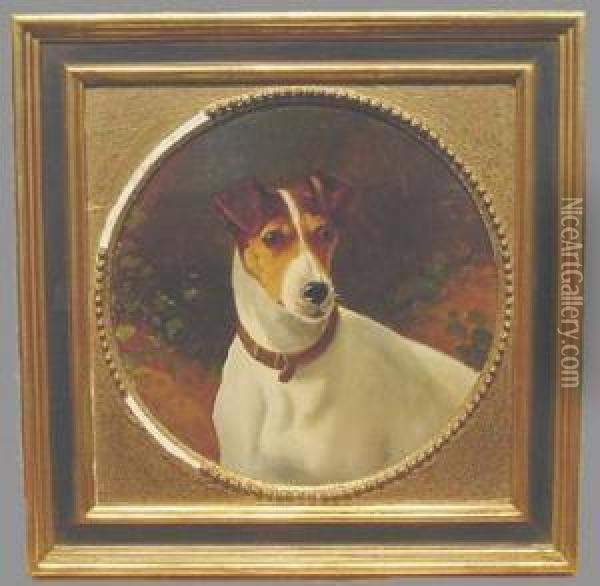 A Jack Russell Terrier Oil Painting - George Earl