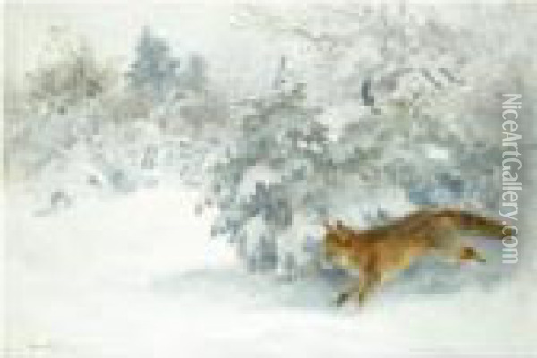 Rav I Vinterpals (fox In Winter Landscape) Oil Painting - Bruno Andreas Liljefors