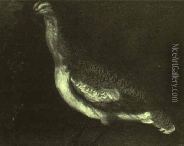 Portrait Of A Bustard In A Rocky Landscape Oil Painting - Giorgio (Count) Durante