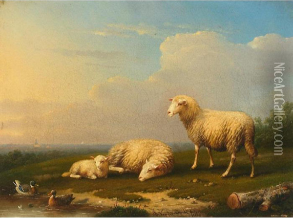 Sheep And Ducks In A Field Oil Painting - Franz van Severdonck