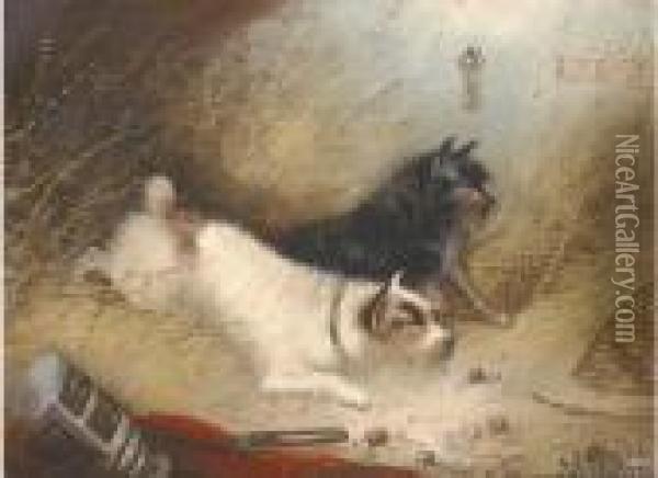 Terriers Ratting; And Terriers In A Barn Oil Painting - George Armfield
