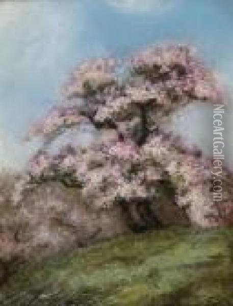 Lilac Trees Oil Painting - Francis William Topham