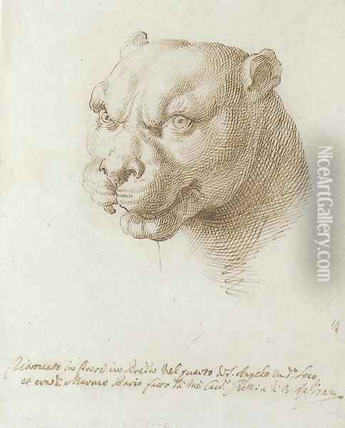 Head of a panther, after the Antique Oil Painting - Pier Leone Ghezzi