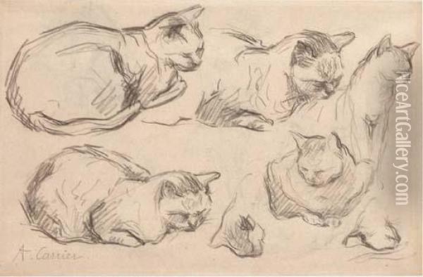 Studies Of Cats (recto And Verso) Oil Painting - Auguste-Joseph Carrier