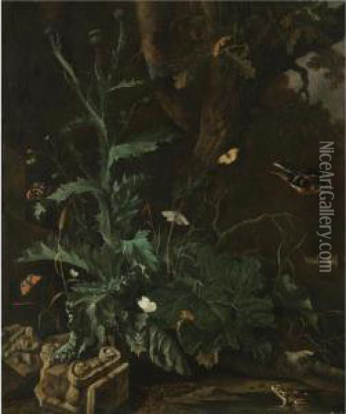 A Forest Floor With A Thistle, 
The Ruin Of An Ionic Column, Butterflies, A Toad, And A Songbird Oil Painting - Abraham Jansz Begeyn