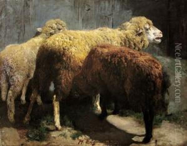 Trzy Owce Oil Painting - Heinrich Von Zugel