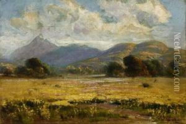 California Landscape In Spring Oil Painting - Manuel Valencia